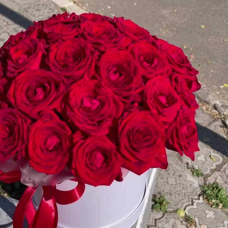 31 Роза в шляпной коробке