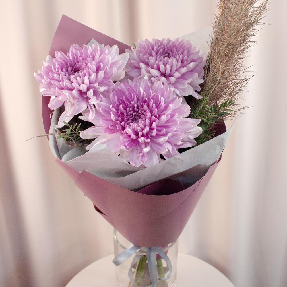 Сиреневые звёзды